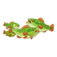 Ψάρι